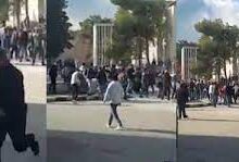 فيديو مشاجرة طلاب كلية الحقوق فى الأردن