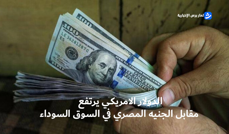 الدولار الامريكي يرتفع مقابل الجنيه المصري في السوق السوداء