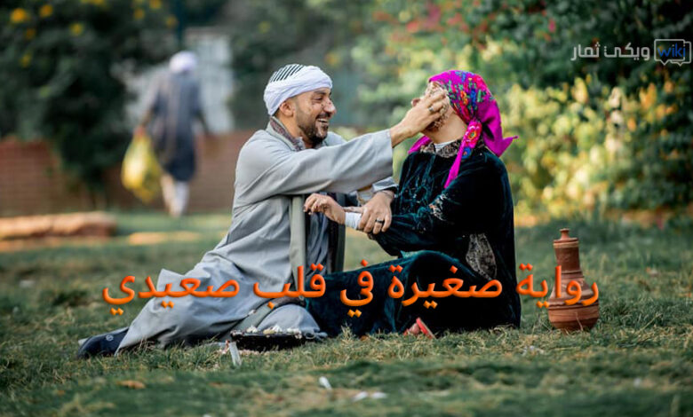 رواية صغيرة في قلب صعيدي