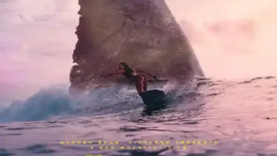The meg 2