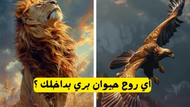 اختبار أي روح حيوان بداخلك ؟