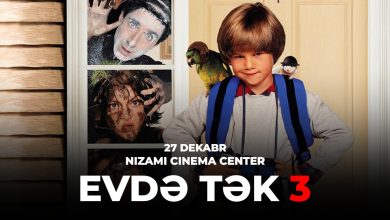 home alone 3