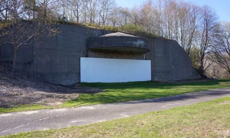 The Montauk Project: Experiments in Time