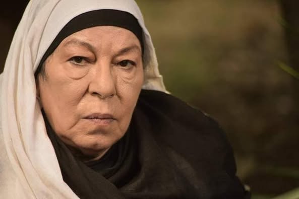 من هي فدوى محسن ويكيبيديا السيرة الذاتية