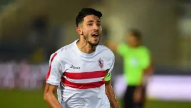 أحمد فتوح ويكيبيديا