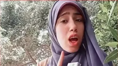 علياء مناديل