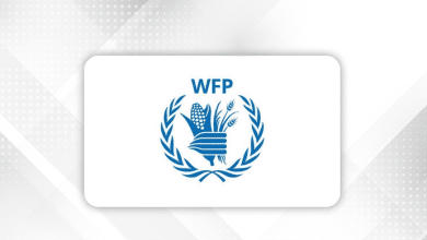 رابط تسجيل بيانات الأسر المحتاجة للحصول على المساعدات النقدية بقيمة (1000 – 1250 شيكل) من اليونيسف في قطاع غزة لعام 2025