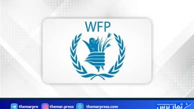 وظيفة شاغرة لدى برنامج الغذاء العالمي في غزة