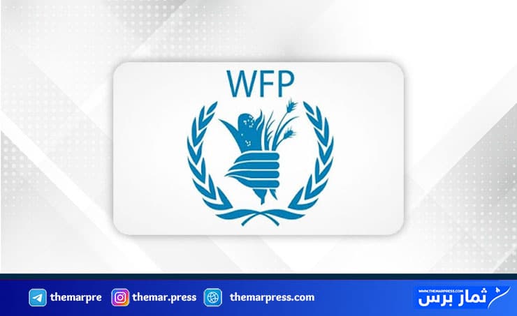 وظيفة شاغرة لدى برنامج الغذاء العالمي في غزة