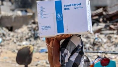 برنامج الغذاء العالمي (WFP)