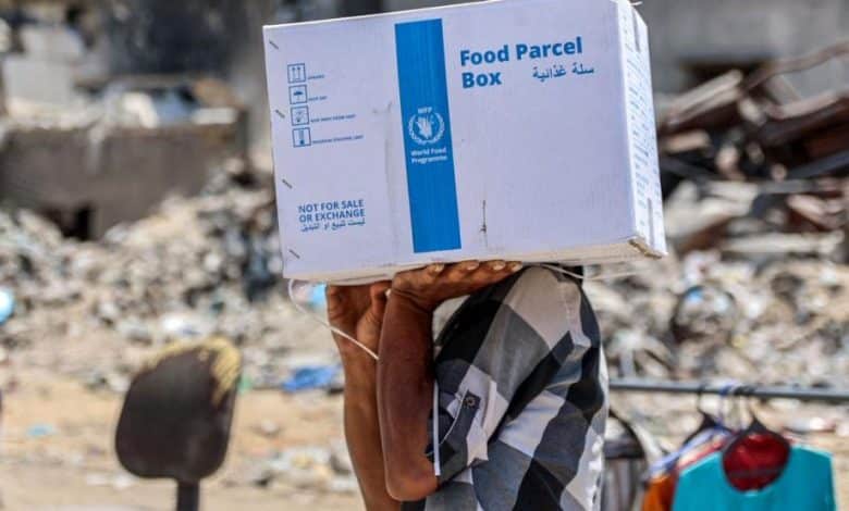 برنامج الغذاء العالمي (WFP)