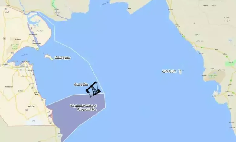 ما هو حقل الدرة