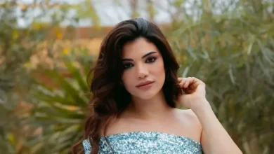 من هي صابرين النجيلي ويكيبيديا؟ السيرة الذاتية، كم عمرها وأبرز أغانيها