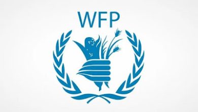 تسجيل وظائف في برنامج الغذاء العالمي 2026