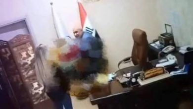فيديو فضيحة لينا رعد وإياد الجوهر في العراق