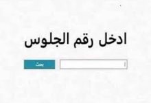نتيجة الشهادة الإعدادية 2026 بمحافظة الجيزة في مصر أون لاين.. رابط نتيجة الشهادة الإعدادية في مصر
